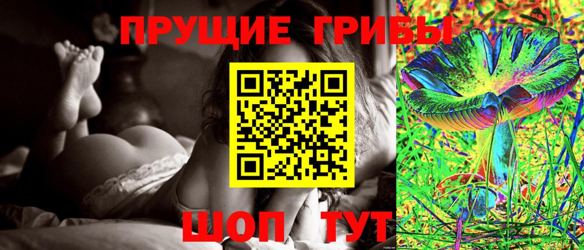 Псилоцибиновые грибы Psilocybine cubensis Калач-на-Дону